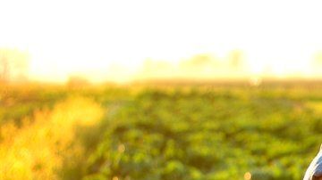 La agricultura orgánica puede ser beneficiosa.