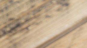 El açaí tiene beneficios para la salud.