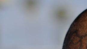 En Sacramento, los delitos violentos se atribuyen a las pandillas.