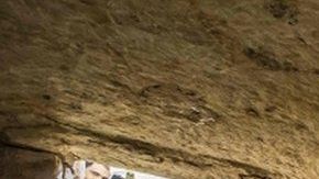 Los periodistas pudieron ingresar a la tumba.