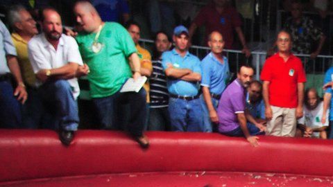 Las peleas de gallos son consideradas un negocio en Puerto Rico.