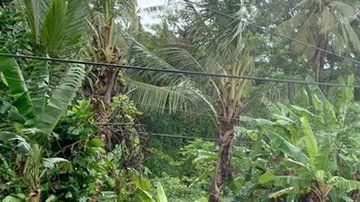 104933526_mediaitem104933525