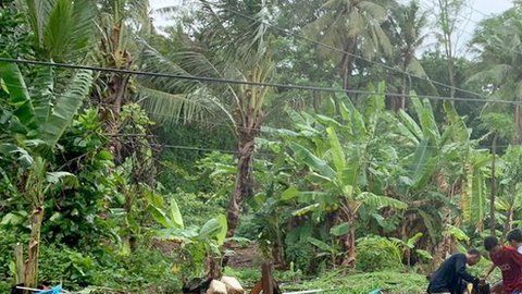 104933526_mediaitem104933525