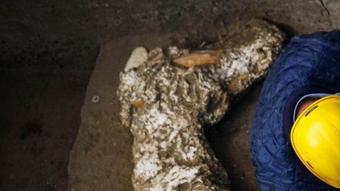 104935076_051313725-1