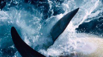 La decisión de Japón tendrá graves consecuencias.