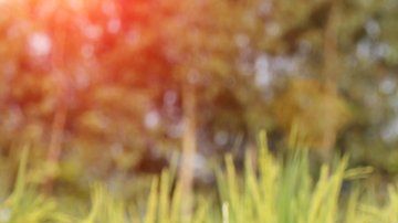 En India se preocupan por la propagación de videos sexuales violentos.