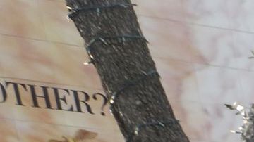 Cientos de católicos se reunieron en La Placita Olvera el día de la Virgen de Guadalupe.