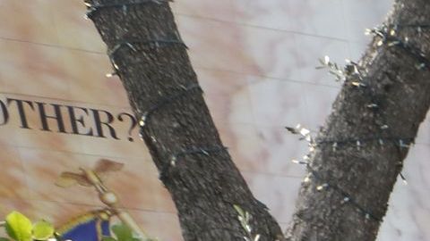 Cientos de católicos se reunieron en La Placita Olvera el día de la Virgen de Guadalupe.