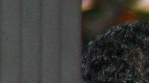 El programa Bienvenido Paisano ya se puso en marcha.