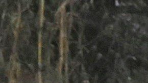 Expertos trabajan en torno a los restos de la aeronave.