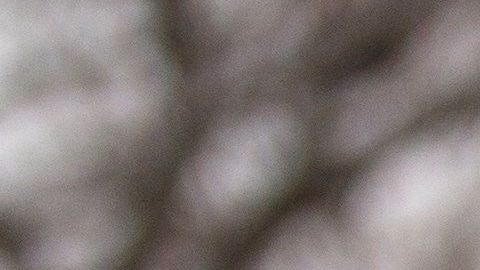 Los jóvenes con DACA esperan por el fallo del Supremo.