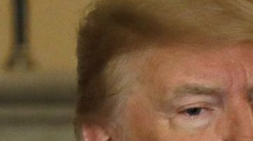 Su campaña en GoFundMe ha sido un éxito rotundo