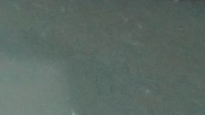 El 83% de los mileniales latinos no tiene nada ahorrado para la jubilación./Shutterstock