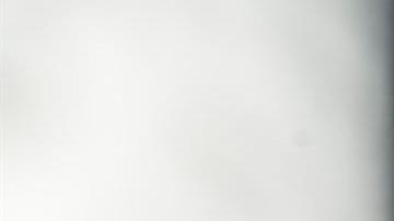 Sería el nuevo Congreso el que tenga que llegar a un acuerdo con Trump