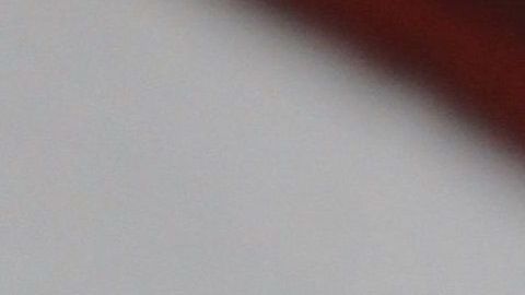 El Gobierno de López Obrador enfrenta críticas por severos recortes presupuestales.