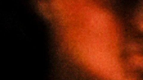 Michelle Obama presentó su libro recientemente.