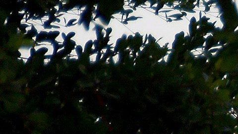 Bomberos inspeccionan la zona del accidente