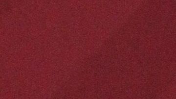 López Obrador ofrece conferencias de prensa matutinas.