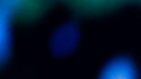 Sarah Rose Summers, Miss USA