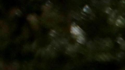 Claudia Marroquín de 27 años madre de Jakelin,  junto a sus otros 3 hijos en el caserío. EFE