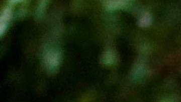 Familiares y vecinos de Jakelin lamentan su muerte.