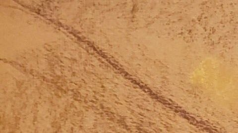 El juicio de "El Chapo" tendrá mañana su última audiencia de este año.