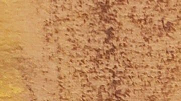 Pedro Flores fue el distribuidor de droga para el cártel de Sinaloa en Chicago.