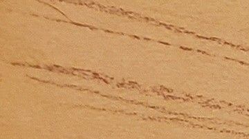 Pedro Flores testifica contra "El Chapo".