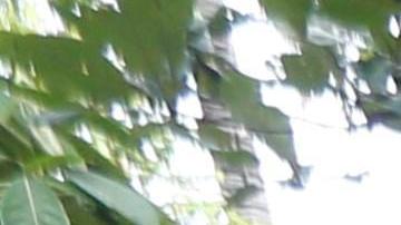 Vecinos limpian las áreas devastadas por el tsunami en Sunda Strait.