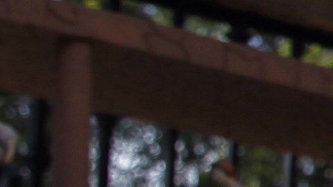 El Nacimiento de la familia Ontiveros es una tradición en CDMX.