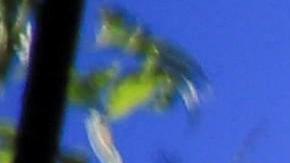 La imagen de Trump será quemada en Tegucigalpa para celebrar el fin del año.