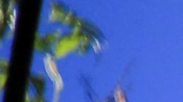 La imagen de Trump será quemada en Tegucigalpa para celebrar el fin del año.