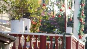 La violencia no cesa en el puerto mexicano.