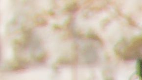 Basson es historiador gastronómico y utiliza su educación en agricultura y su pasión por estudiar libros antiguos para incorpor a su menú kosher./Cortesía