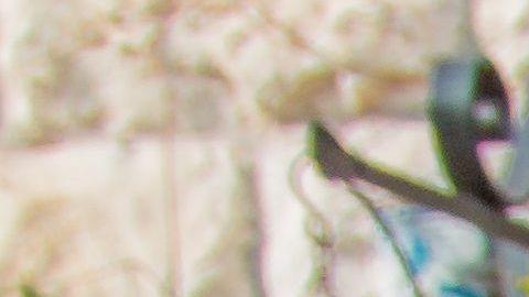 Basson es historiador gastronómico y utiliza su educación en agricultura y su pasión por estudiar libros antiguos para incorpor a su menú kosher./Cortesía