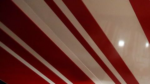 Chivas de Guadalajara presentó a sus nuevos jugadores de cara al torneo Clausura 2019 de la Liga MX