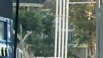 Buscaba un agujero para combustible en un auto que no tiene tanque de gas