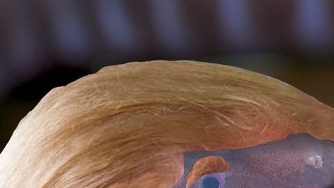 Esto no es una broma, el gusano fue nombrado como el presidente de EEUU.