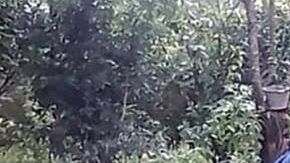 Jakelin Amei Rosmery Caal Maquin murió bajo custodia de CBP.