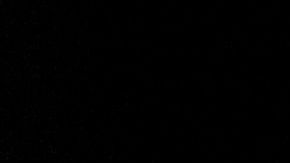 El año del Cerdo inicia el 5 de febrero de 2019.