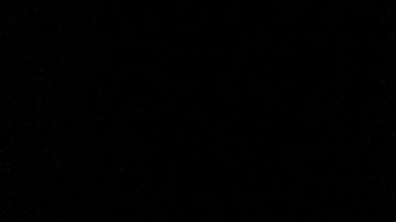 El año del Cerdo inicia el 5 de febrero de 2019.