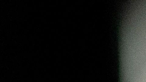 El año del Cerdo inicia el 5 de febrero de 2019.