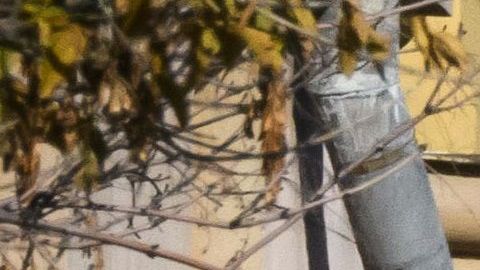 El estadounidense podría ser encarcelado durante 20 años.