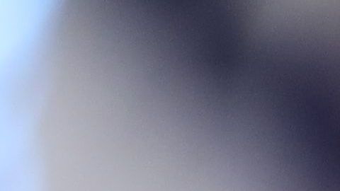 Este martes se espera la condena contra Michael Flynn, ex asesor de seguridad de Trump