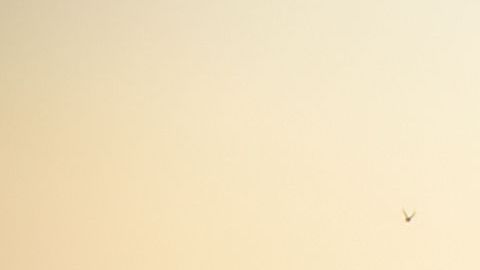 El Gobierno de EEUU afirma que el arribo de familias de indocumentados ha aumentado.