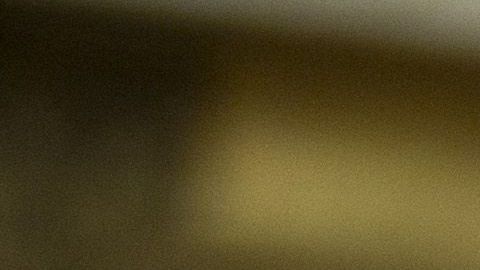 El presidente Trump afirma que no cederá hasta obtener los recursos para el muro fronterizo.