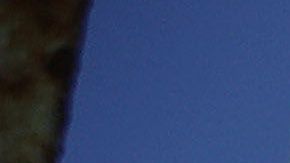 El 9 de noviembre, Trump firmó una orden presidencial que implicaba que aquellos inmigrantes que entren al país por la frontera con México de forma irregular no tengan opción de pedir asilo.