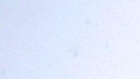 Un coro canta durante las festividades natalicias en Strasbourgo, Francia.