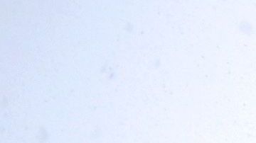 Un coro canta durante las festividades natalicias en Strasbourgo, Francia.