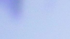 El latino sería una de las cartas demócratas para vencer a Trump en 2020